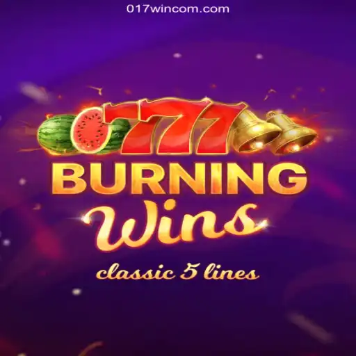 BurningWins: The Exciting World of Cassino Online with 017win.com